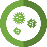Indoor Mold Spore Testing Pros