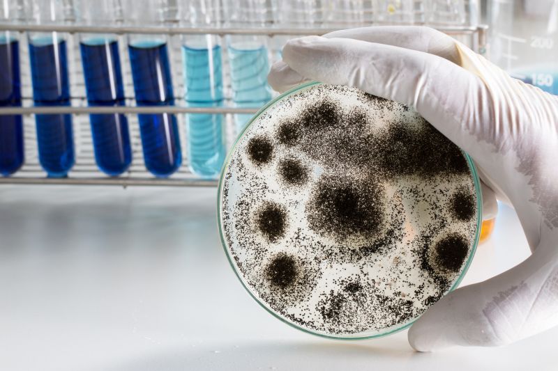 ERMI Testing in Broward County, FL