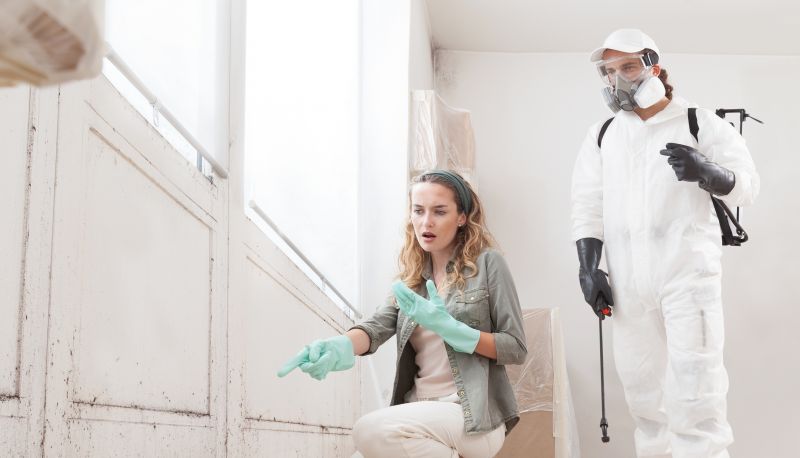 Mold Treatment Service in Fort Worth, TX