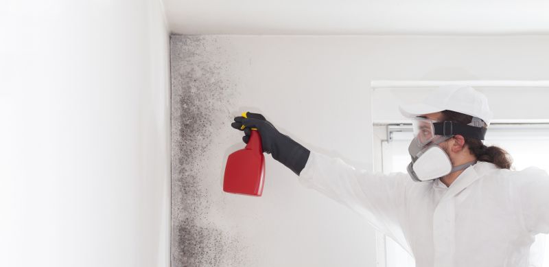 White Mold Mitigation in Fort Lauderdale, FL