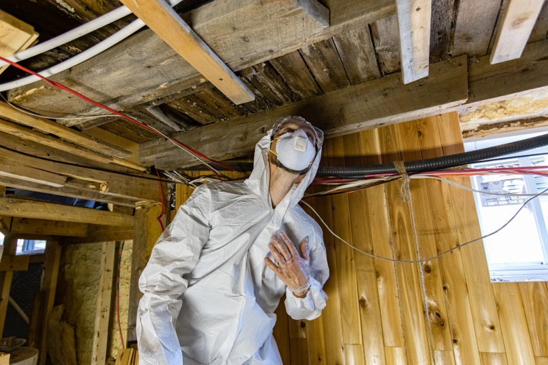 Indoor Mold Spore Testing