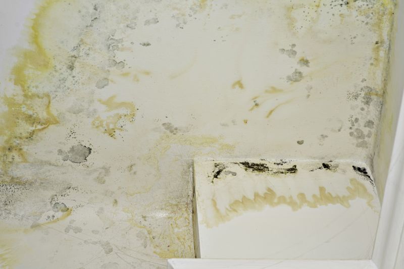 Air Duct Mold Removal in Essex County, NJ