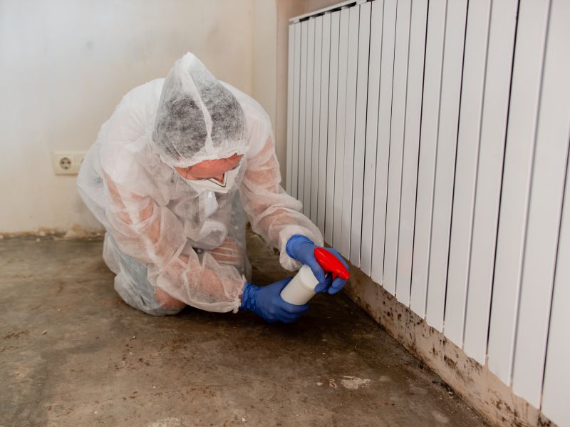 Air Duct Mold Removal in Bergen County, NJ