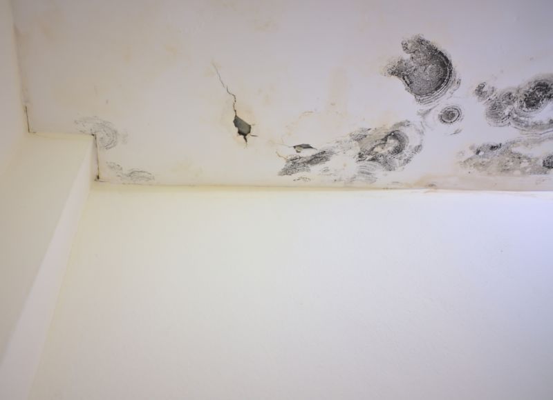 Attic Mold Remediation in Bergen County, NJ