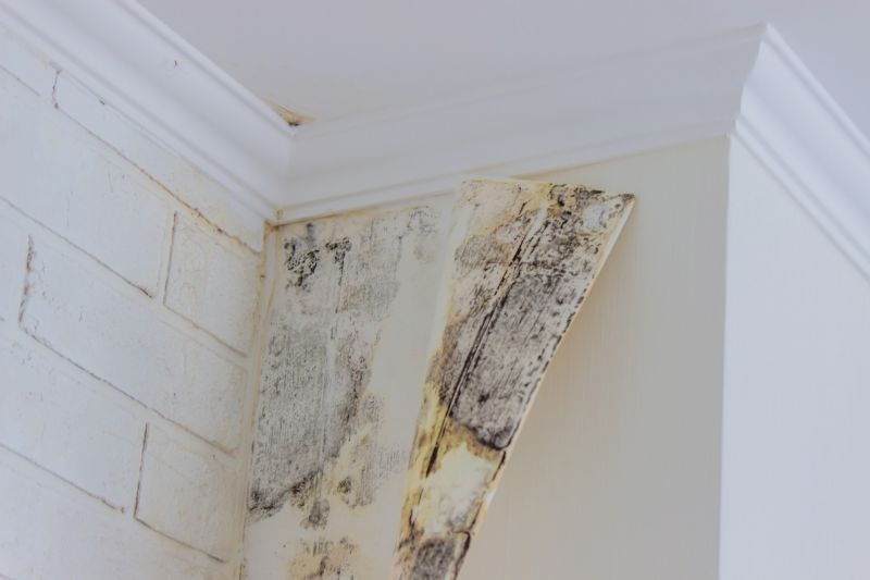 Crawl Space Mold Removal in Fort Worth, TX