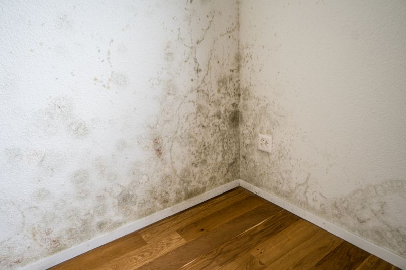 Indoor Mold Spore Testing