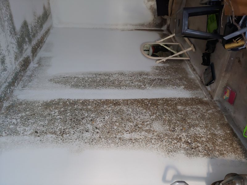 Indoor Mold Spore Testing