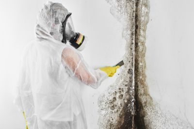 Mold Abatement in Weatherford, TX