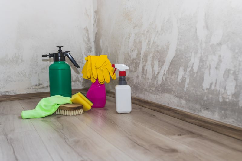 Mold Abatement Service in Jupiter, FL