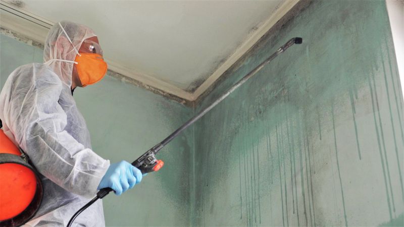 Mold Cleanup Service in Dallas, TX