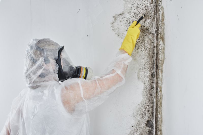 Effective Mold Removal
