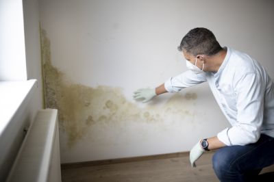 Mold Growth on Walls