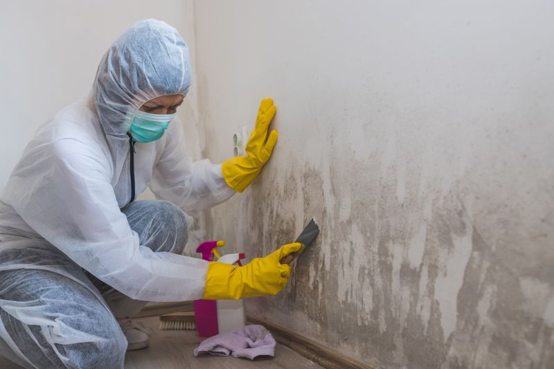 Removing Mold